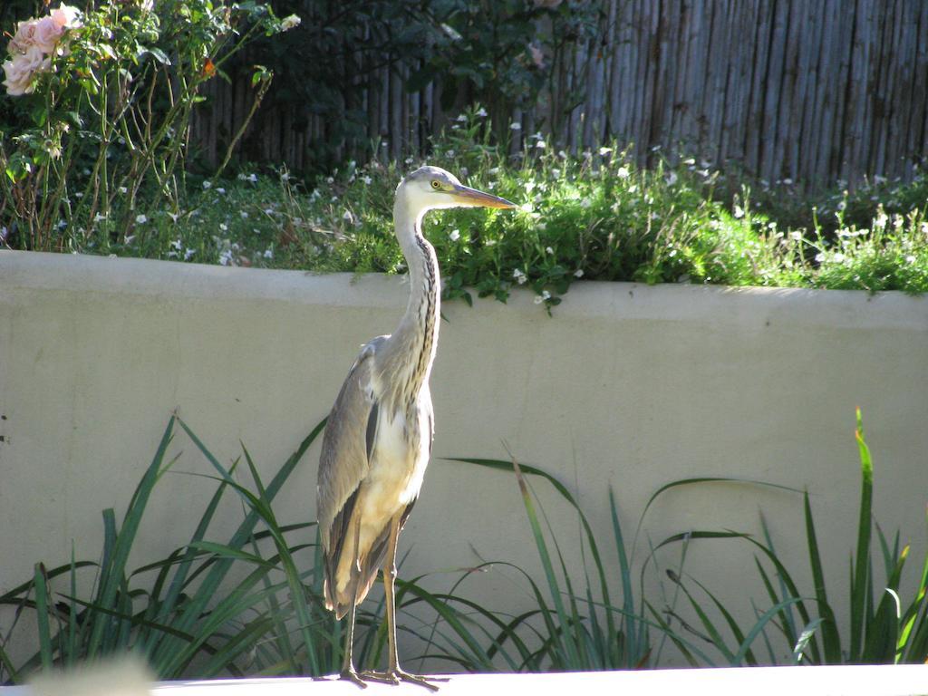 De Langenhof Hotel Riebeek-West Bagian luar foto